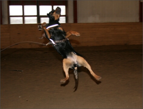 Training in Estonia 11/2007